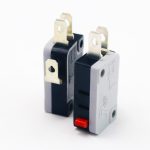 Large Microswitch, 2 units